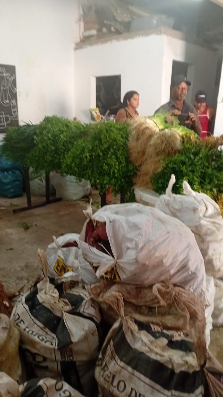 Banco de Alimentos 2